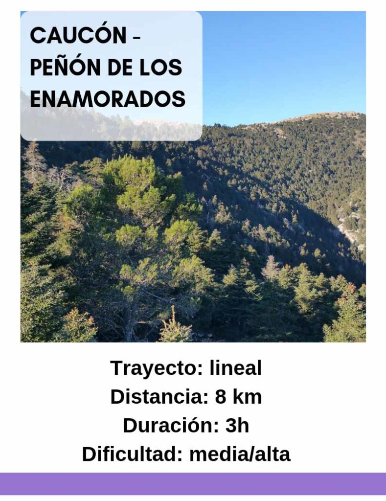 Sierra de las Nieves