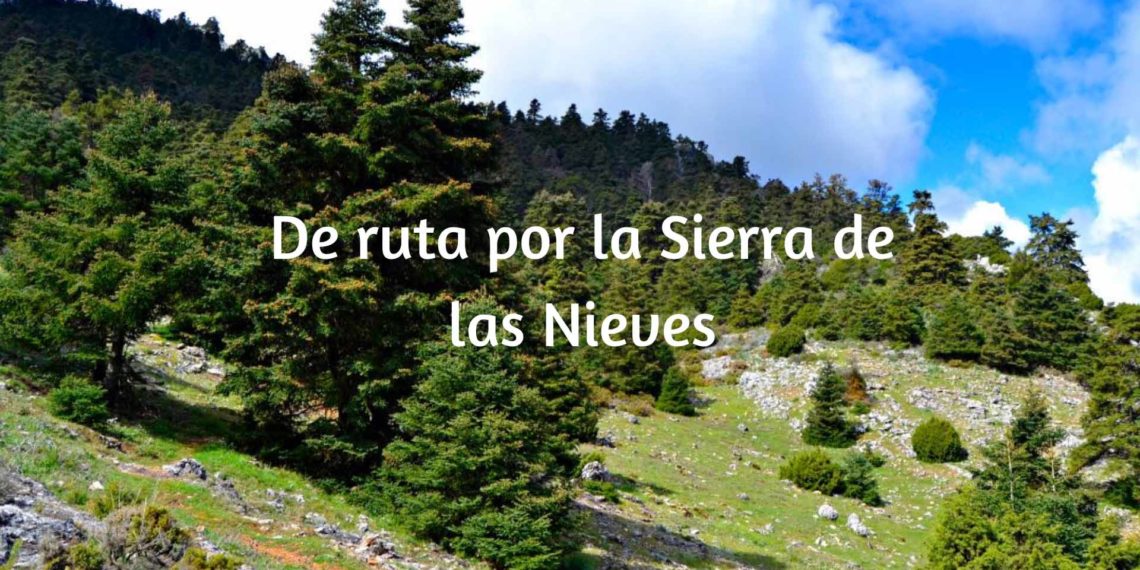 De Ruta por Sierra de las Nieves. Parte I