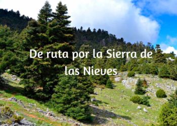 De Ruta por Sierra de las Nieves. Parte I