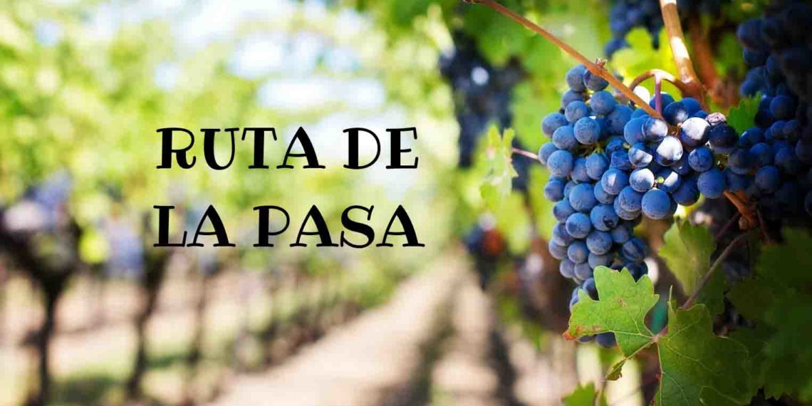 Ruta de la pasa