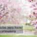 Actividades para hacer en primavera