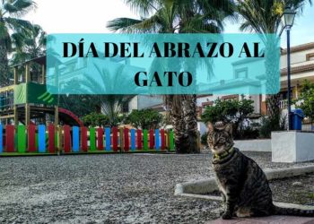 Día del abrazo al gato