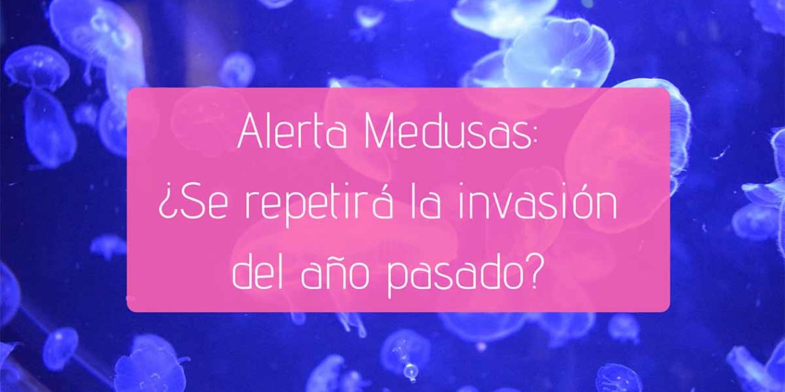medusas