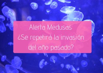 medusas