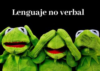 Lenguaje no verbal