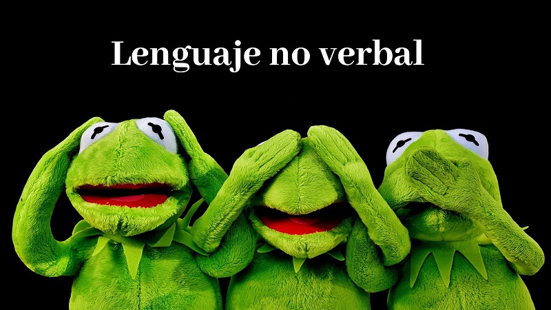 Lenguaje no verbal significado e interpretación Lenguaje no verbal significado e interpretación