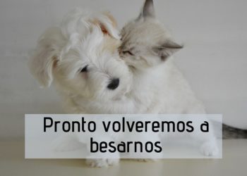besos de nuestros lectores