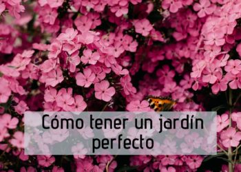 Cómo tener el jardín perfecto sin saber nada de jardinería