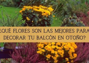 Érase una vez mi pequeño balcón otoñal