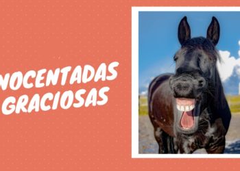 Las 5 inocentadas graciosas