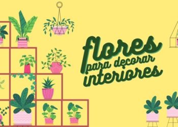 mejores flores para decorar interiores