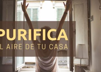 purificar el aire de tu casa