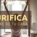 purificar el aire de tu casa