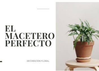 macetero perfecto