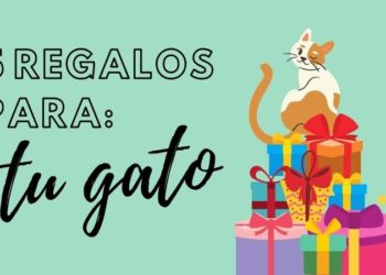 regalos para hacer feliz a tu gato