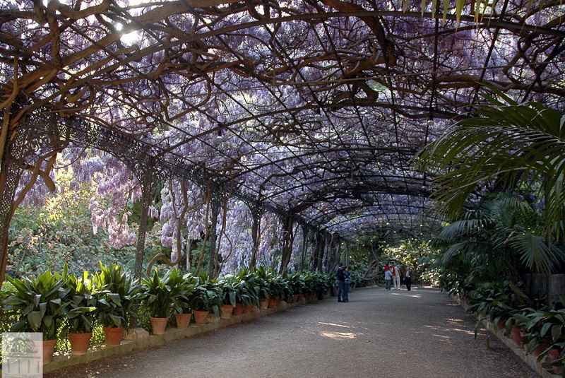 Jardín Botánico La Concepción