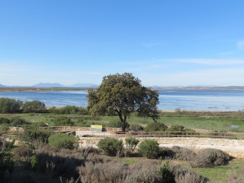 Laguna Fuente de Piedra