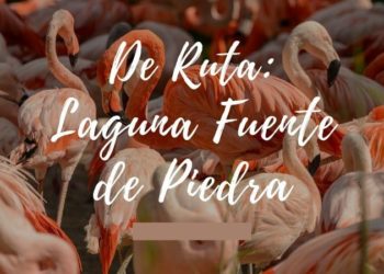 De Ruta: Laguna Fuente de Piedra
