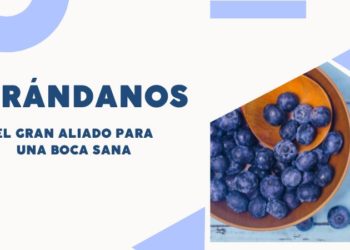 El arándano, el gran aliado para una boca sana