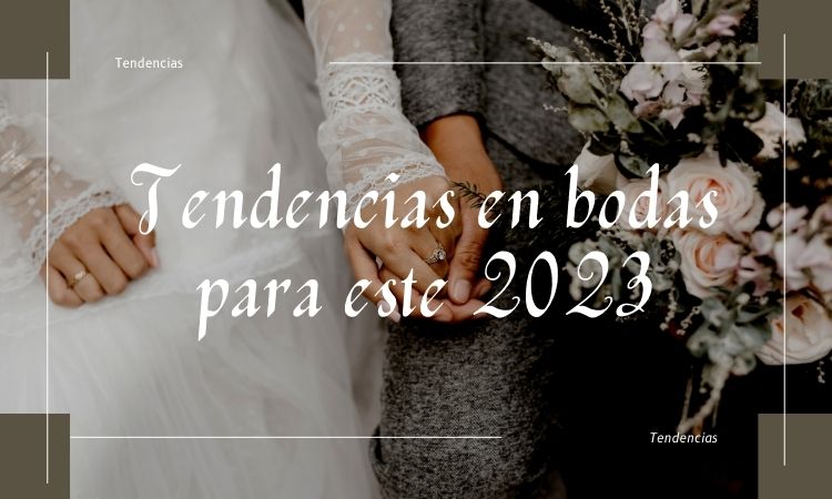 Las Mejores Cámaras Desechables para Bodas 2023