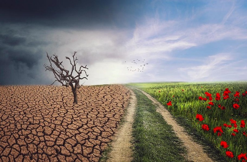 cambio climático