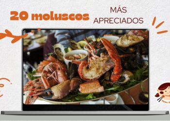 20 moluscos más apreciados