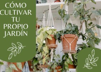 Cómo cultivar tu propio jardín