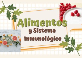 Alimentos que impulsan el sistema inmunológico: Cómo fortalecer tu sistema inmunológico