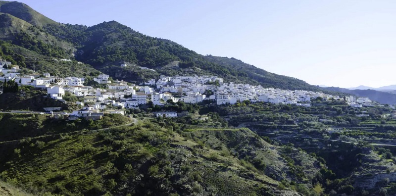 Canillas de Aceituno