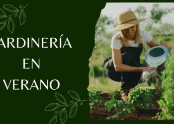 Jardinería en verano
