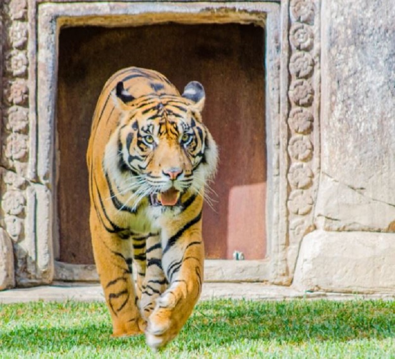 Semana Blanca en Málaga
